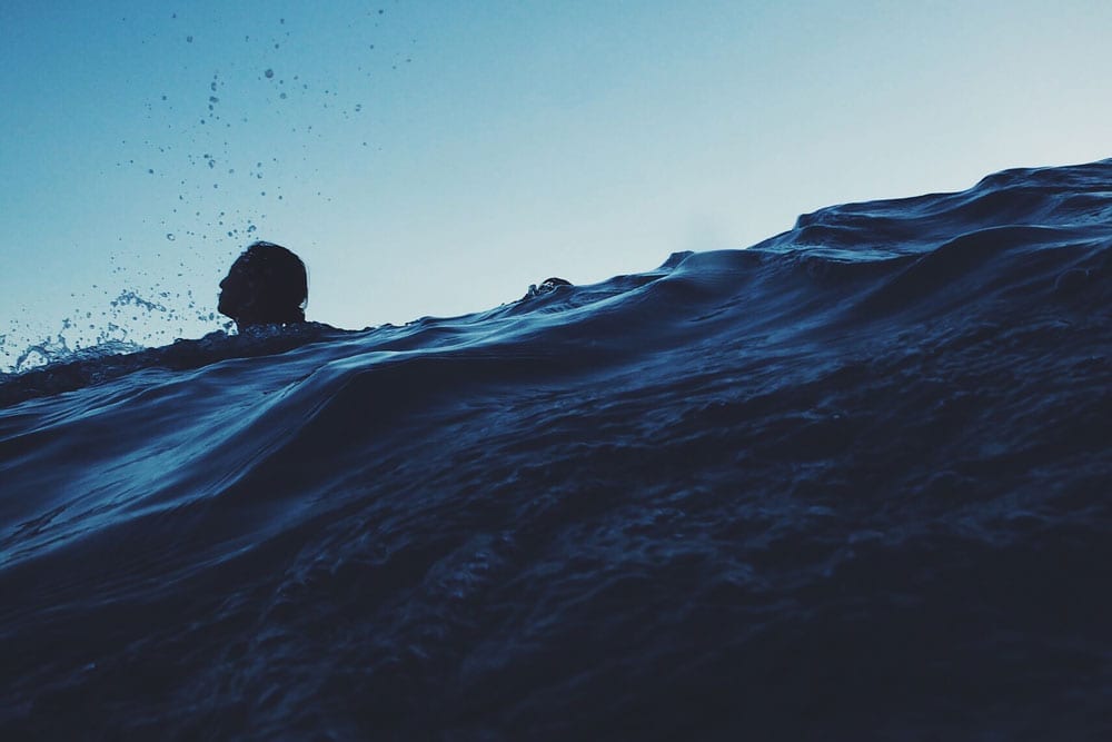 Dive in